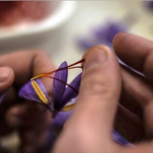 Condenan a tres personas por un delito de estafa al vender azafrán con etiquetas falsas de la DOP La Mancha