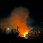 VÍDEO | Los bomberos trabajan en la extinción de un incendio en una de las islas del Tajo en Toledo, con difícil acceso