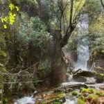 Aparcar en los espacios naturales de Castilla-La Mancha será gratuito para personas con movilidad reducida