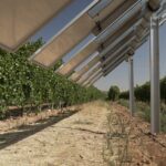 'Winesolar', la primera planta agrovoltaica inteligente de España se instala en Guadamur