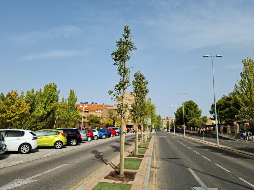 Inician la plantación de más de 90 árboles y 450 arbustos en la avenida de  Europa - Noticias Toledo y Provincia | Toledodiario