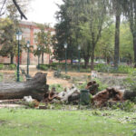 Protesta ciudadana ante la tala de decenas de árboles en los Jardines del Prado de Talavera