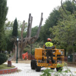 Esparvel pide paralizar la "desmedida obra" en los Jardines del Prado: "El abandono de décadas no justifica una corta tan radical"