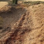La Confederación del Tajo realiza trabajos de retirada de fibrocemento en el cauce del arroyo Ramabujas