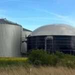 Zona de linces y nidos de águila: Casasbuenas se revuelve contra la instalación de una planta de biogás en Noez