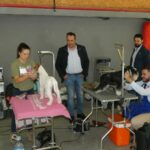 Talavera Ferial celebra su Exposición Nacional e Internacional Canina