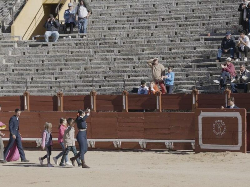 Franz Weber reclama retirar una "bueyada infantil" en Yeles y el Ayuntamiento asegura no tener constancia de la petición