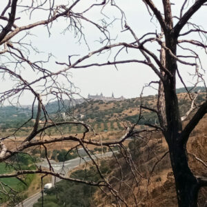 Cuando un monte se quema, algo suyo se quema... señor conde