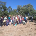 ARBA Toledo recoge 50 kilos de bellotas para regenerar el bosque mediterráneo en la ciudad