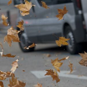Las fuertes rachas de viento, causantes de los cortes de luz que se están dando en algunas zonas de Toledo
