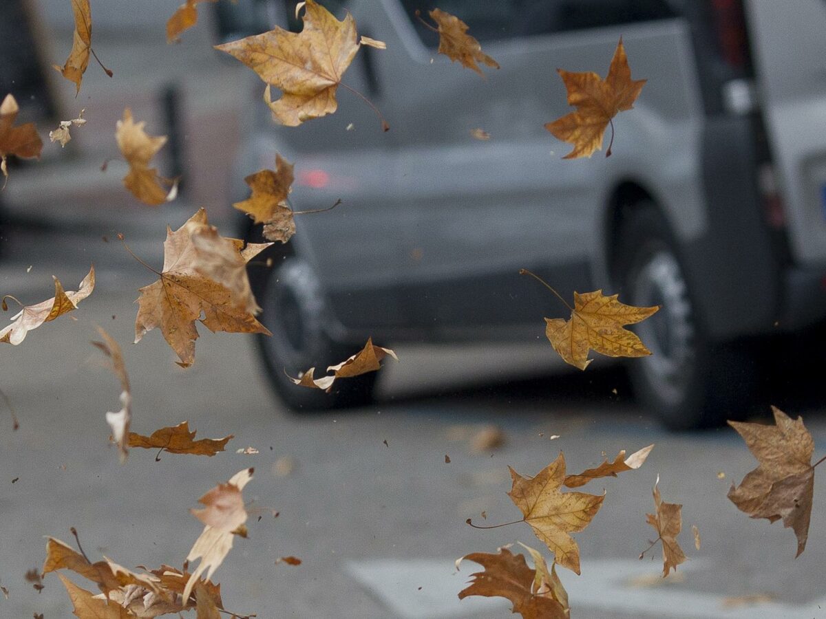 Las fuertes rachas de viento, causantes de los cortes de luz que se están dando en algunas zonas de Toledo
