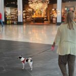 De compras con perro en Luz del Tajo: el centro comercial de Toledo se hace 'dog friendly'