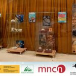 El Museo de Ciencias Naturales de Los Yébenes estrena exposición con la llegada de una nueva colección de corales