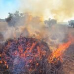 Entra en vigor la suspensión de la quema de rastrojos y el uso de maquinaria agrícola si el riesgo de incendio es muy alto