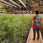 guardia civil agente marihuana drogas cultivo plantacion