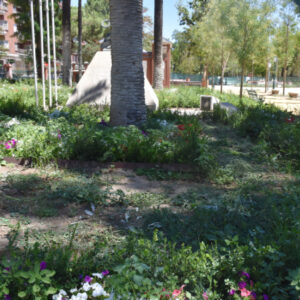 Los Jardines del Prado de Talavera, en el centro de la polémica entre el gobierno entrante y saliente