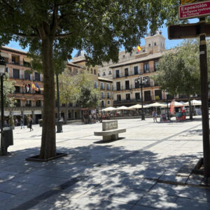 Movimiento Sumar propone un protocolo municipal frente a las olas de calor con refugios climáticos y más sombra en Toledo