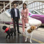 Los trenes Avlo de Renfe admitirán mascotas de hasta 10 kilos