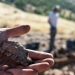 patrimonio yacimiento arqueologico arqueologia excavacion monton trigo