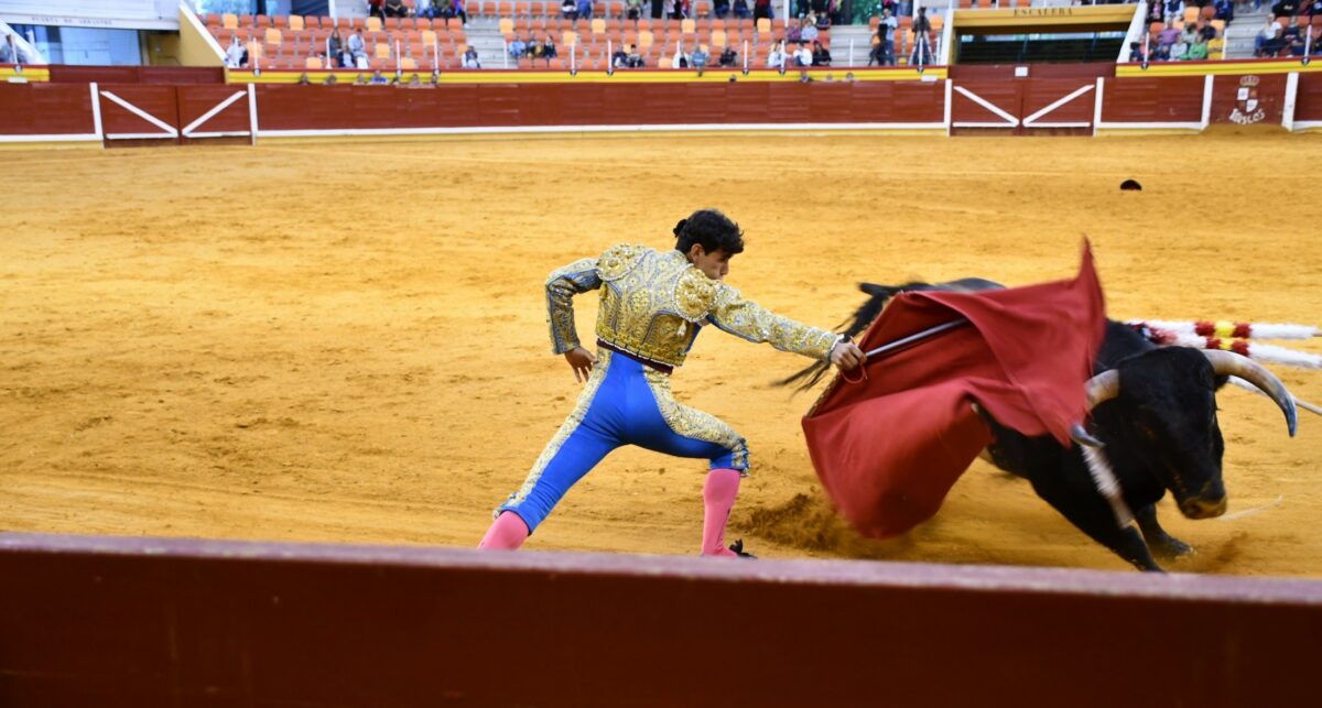 Premiar la tauromaquia es fallar a la ciudadanía