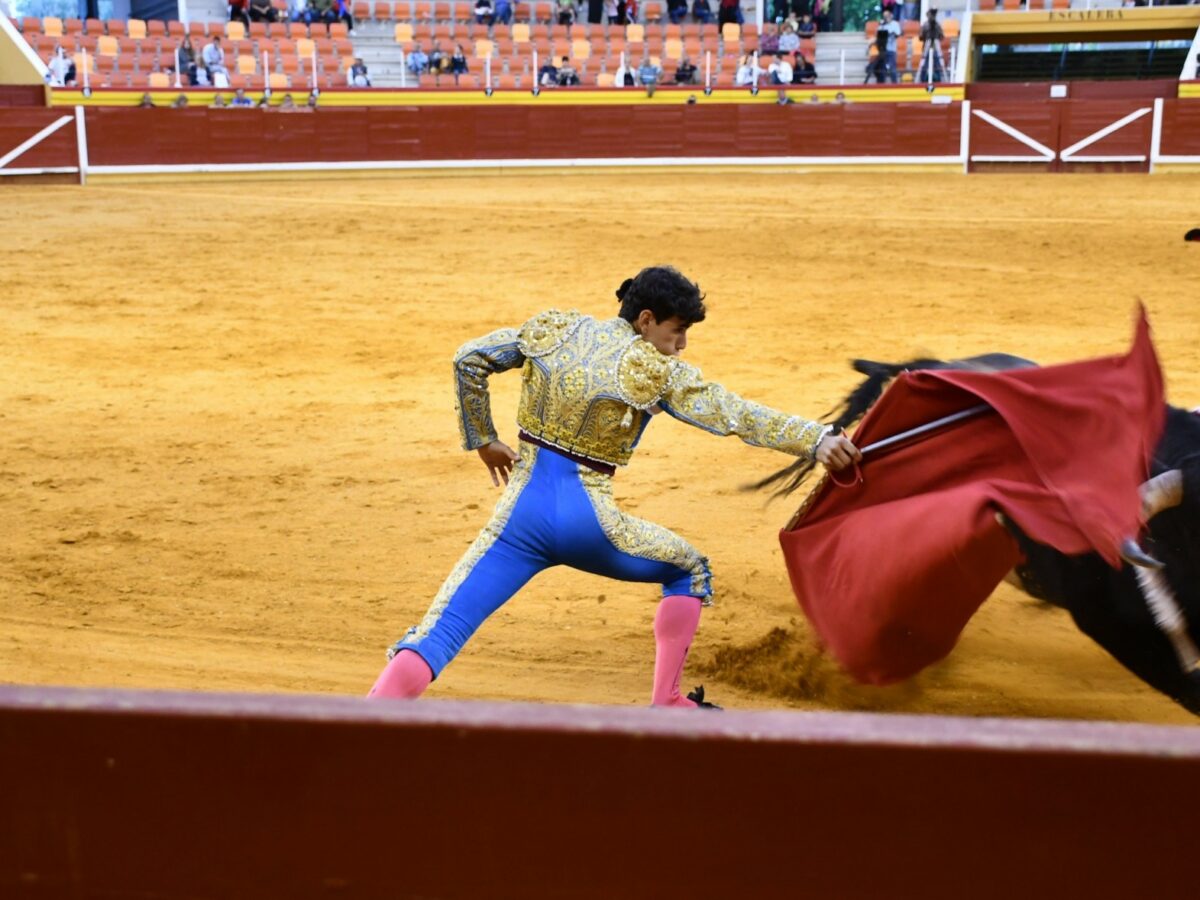 Premiar la tauromaquia es fallar a la ciudadanía