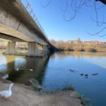La ONG SEO/BirdLife critica el proyecto de un complejo hotelero en la ribera del Tajo de Toledo