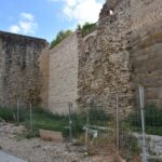 El PSOE recrimina el "deplorable" estado del entorno de la muralla de El Charcón en Talavera