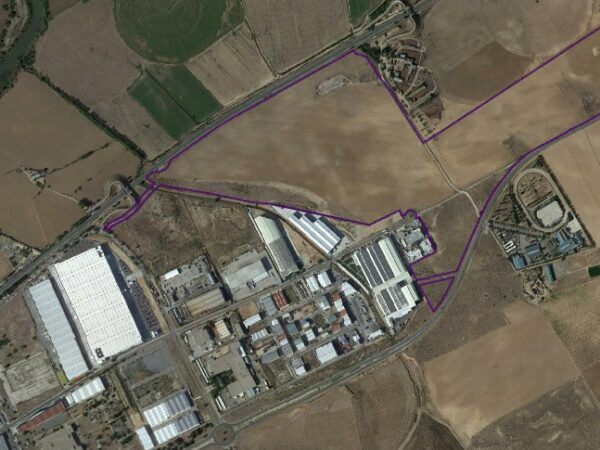 La protección de un hábitat vegetal obliga a reducir más de 80.000 metros cuadrados la ampliación del polígono industrial de Toledo