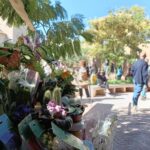 Mercado flores jardin san lucas