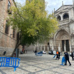 Talan uno de los cuatro árboles que hay en la plaza del Ayuntamiento de Toledo por riesgo de caída