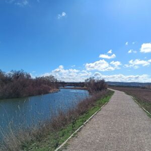La Plataforma del Tajo en Toledo recauda fondos para hacer frente a los recursos judiciales del plan de cuenca
