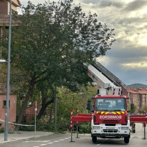 Un menor herido leve y 41 árboles caídos, entre las consecuencias de la borrasca Ciarán en Toledo