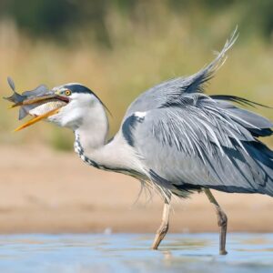 Los puentes toledanos, protagonistas del séptimo Concurso de Fotografía de la Diputación