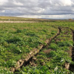 Los daños causados en septiembre por la DANA impiden sembrar a agricultores de varios pueblos de Toledo