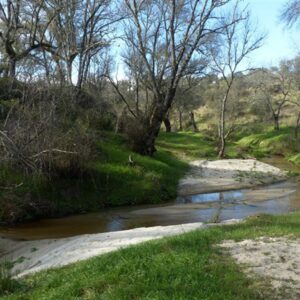 Ecologistas en Acción reivindica la renaturalización de los ríos tras las inundaciones en la comarca de Talavera