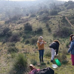 Ruta, bellotada y plantación: ARBA Toledo arranca el año cuidando el entorno de Montesión afectado por el incendio