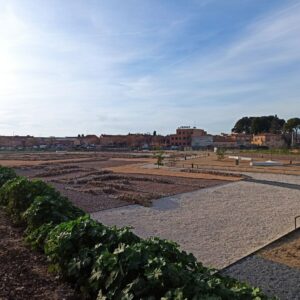 Adjudican la segunda fase del proyecto de recuperación de Vega Baja por 382.000 euros