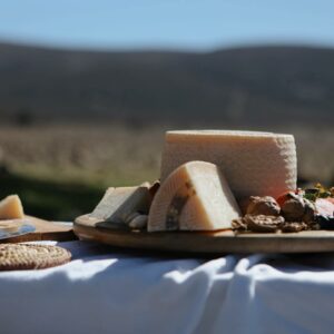 La quesería Dehesa Ardales de Los Yébenes ya cuenta con la mitad de las ovejas negras de Castilla-La Mancha, raza en peligro de extinción