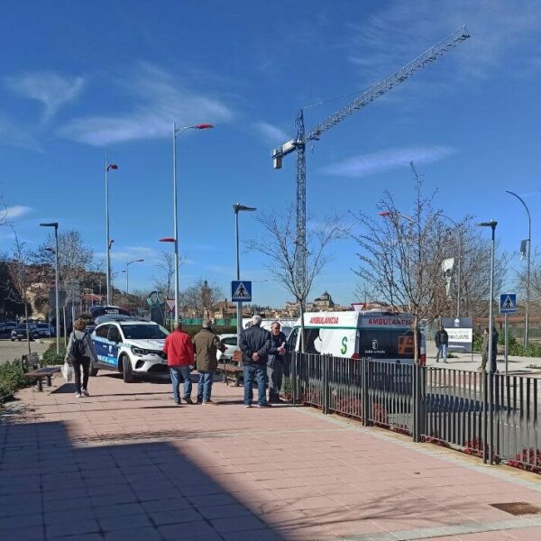 Velázquez afirma que se tomarán "medidas drásticas" para evitar nuevos atropellos en el Paseo de la Rosa