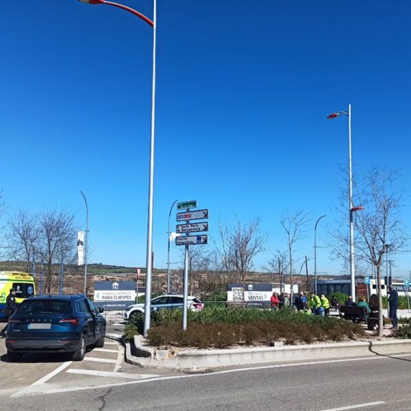 La oposición arremete contra PP y Vox por los atropellos en el Paseo de la Rosa y pide educación vial: "No aparten a los peatones"