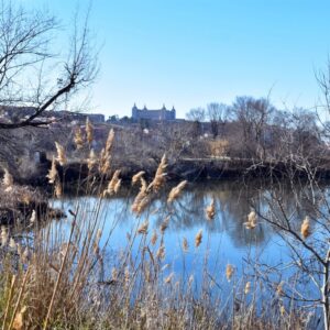 Toledo contará con un plan de infraestructuras verde y azul que orientará el proyecto para restaurar las riberas del Tajo