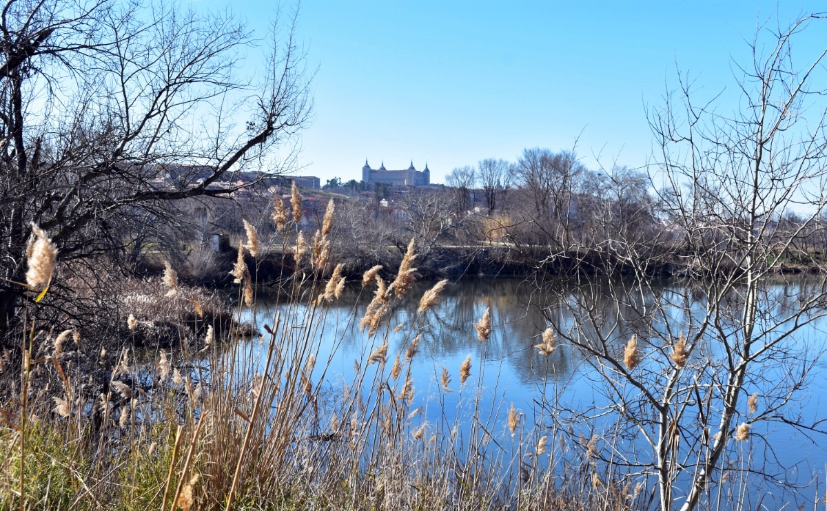 Toledo contará con un plan de infraestructuras verde y azul que orientará el proyecto para restaurar las riberas del Tajo