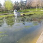 Lago Alameda parque zona verde suciedad contaminacion