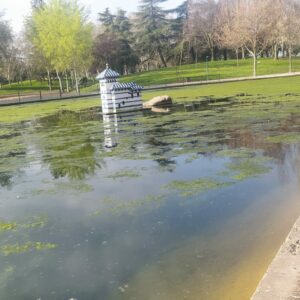 Detienen a dos jóvenes de 14 años por quemar papeleras y contenedores en los Jardines del Prado y la Alameda