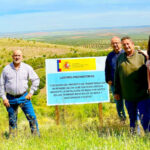 Luz verde ambiental para regar más de 200 hectáreas de olivos y almendros en Mora con 10 millones de inversión