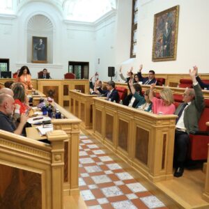 PP y Vox piden a la Delegación del Gobierno más efectivos de la Policía Nacional en Toledo