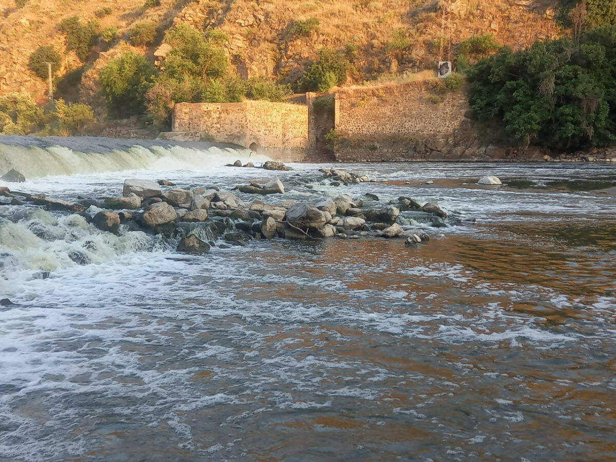 La Cátedra del Tajo da "un tirón de orejas" a las administraciones por el "retraso" para mejorar la situación del río