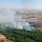 incendio fuego campo