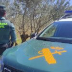 Sucesos.- Detenido un hombre de 66 años por tráfico de drogas en Los Navalmorales (Toledo)