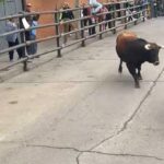 Una persona fallecida y tres heridas, entre ellas una niña, tras escaparse un toro de un encierro de Pantoja